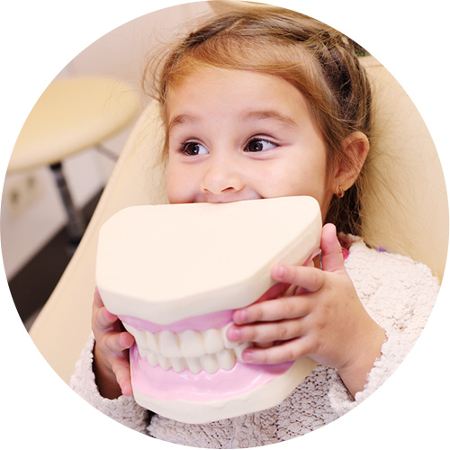 Girl holding a dental model